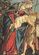 Sandro Botticelli Madonna and Child with the Young St john or Madonna of the Rose Garden (mk36) oil on canvas